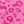 Rose Leopard