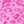 Pink Leopard