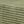 Antique Green