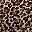 Brown Leopard
