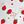 Red Strawberry