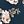 Navy Blue Flower