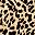 Brown Leopard Print