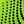 Green Black