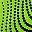 Green Black