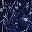 Navy Blue Flower