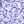 Purple Floral