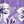Purple White Flower
