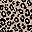 Black Leopard