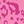 Leopard Hot Pink