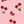 Pink Cherry Print