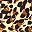Brown Leopard