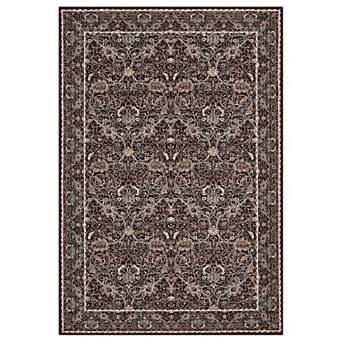 Machine Washable Traditional Rug Vintage Botanical Print, Fade-Resistant & Non-Shedding