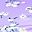 Purple White Flower