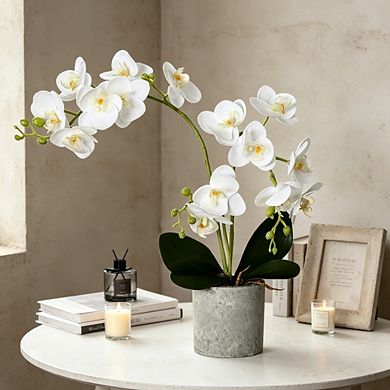2-Pack Pink Artificial Phalaenopsis Orchids in Ceramic Vase, Faux Floral Arrangements for Home Decor