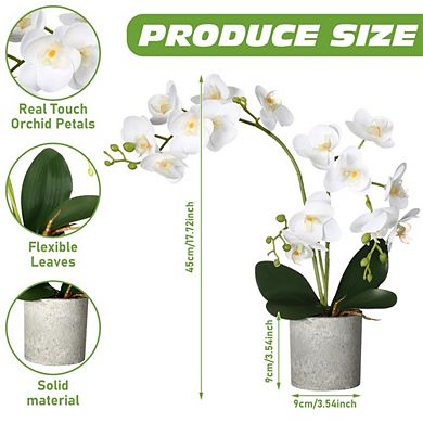2-Pack Pink Artificial Phalaenopsis Orchids in Ceramic Vase, Faux Floral Arrangements for Home Decor
