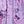 Purple Flower