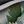 Green Vegetation Camo