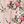 Beige Floral