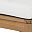Light Teak