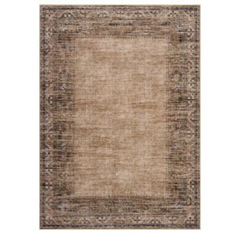 Washable Rugs Vintage Distressed Border Area Rug for Living Room Stain Resistant Carpet