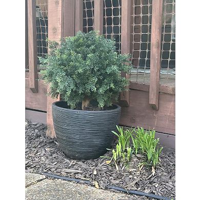 Realistic Artificial Cedar Topiary Ball Trees, UV-Resistant Faux Shrubs in Black Pots, 2pcs