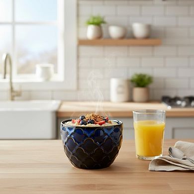 Ceramic Cereal & Soup Bowls Set of 2 Porcelain, Microwave & Dishwasher Safe