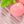 Baby Pink Cherry