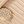 Sand Shells