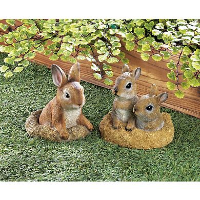 Zingz Home Curious Bunny Garden Statue