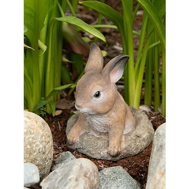 Zingz Home Curious Bunny Garden Statue