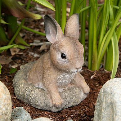 Zingz Home Curious Bunny Garden Statue