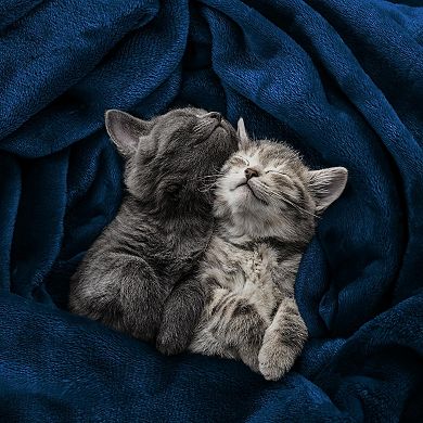 Fleece Blanket Queen Size (90x90 Inches) Ultra Soft Warm Lightweight Microfiber Breathable Anti