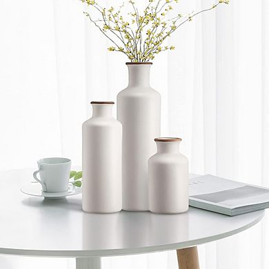 Ceramic Vase Set of 3 Decorative Vases, Rustic Farmhouse Style