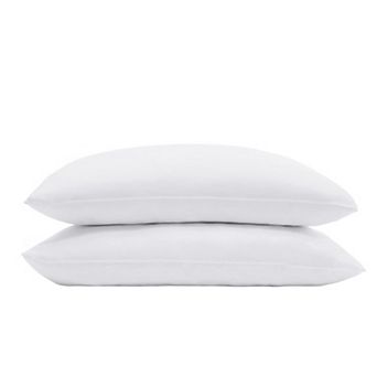 Cooling Pillow Protectors,Stain Resistant and Zippered Pillow Protector,Protects Pillow from(2 Pack)