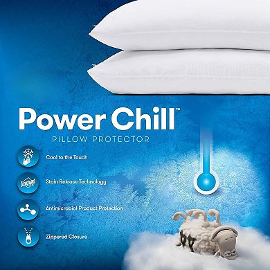 Cooling Pillow Protectors,Stain Resistant and Zippered Pillow Protector,Protects Pillow from(2 Pack)