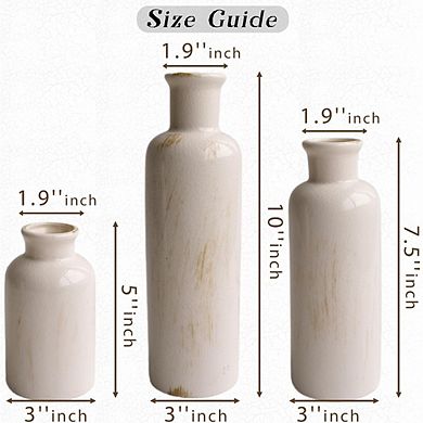 Ceramic Vase Set of 3 with Dried Pampas Grass, Neutral Boho Decor