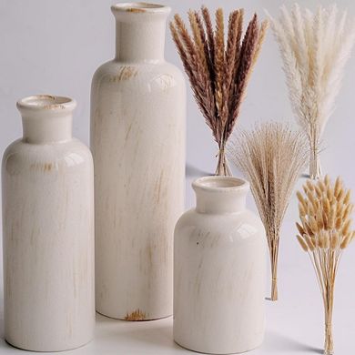 Ceramic Vase Set of 3 with Dried Pampas Grass, Neutral Boho Decor