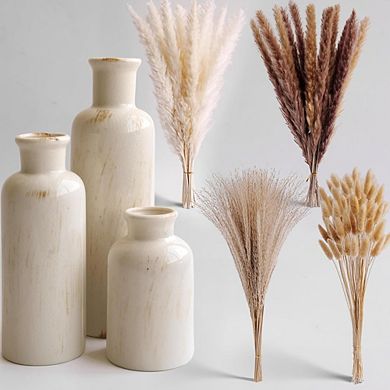 Ceramic Vase Set of 3 with Dried Pampas Grass, Neutral Boho Decor