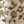 Green Beige