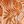 Clay Rust Ivory