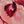 Rust Wine Pink