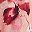 Rust Wine Pink
