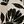 Ivory Black