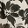 Ivory Black