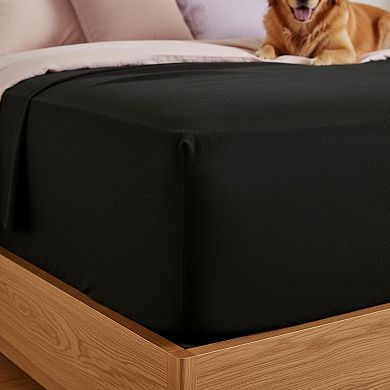 King Jersey Sheet Set 4-Piece Cotton Blend All Season Deep Pocket Soft Cozy Stretchy
