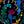 Black Multi