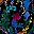 Black Multi