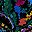 Black Multi