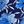 Blue Floral